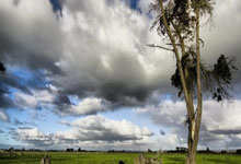 黑白直播在线观看nba-瓦伦西亚客场大胜，继续稳坐积分榜前列