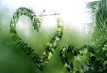 黑白直播网-绝境铸就传奇！浙江队钢铁洪流2球逆转背后的默契密码