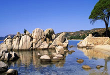 黑白直播在线观看nba-瓦伦西亚客场大胜，继续稳坐积分榜前列