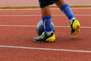 黑白直播nba-河床训练基地开放，备战世俱杯进入冲刺阶段