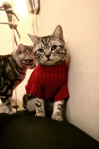 弗拉霍维奇巨星光芒四射，尼斯友谊赛险胜加纳