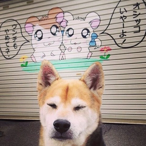 黑白直播-跨界风暴，马赛终结国米霸权，奥纳纳在NBA季后赛书写传奇