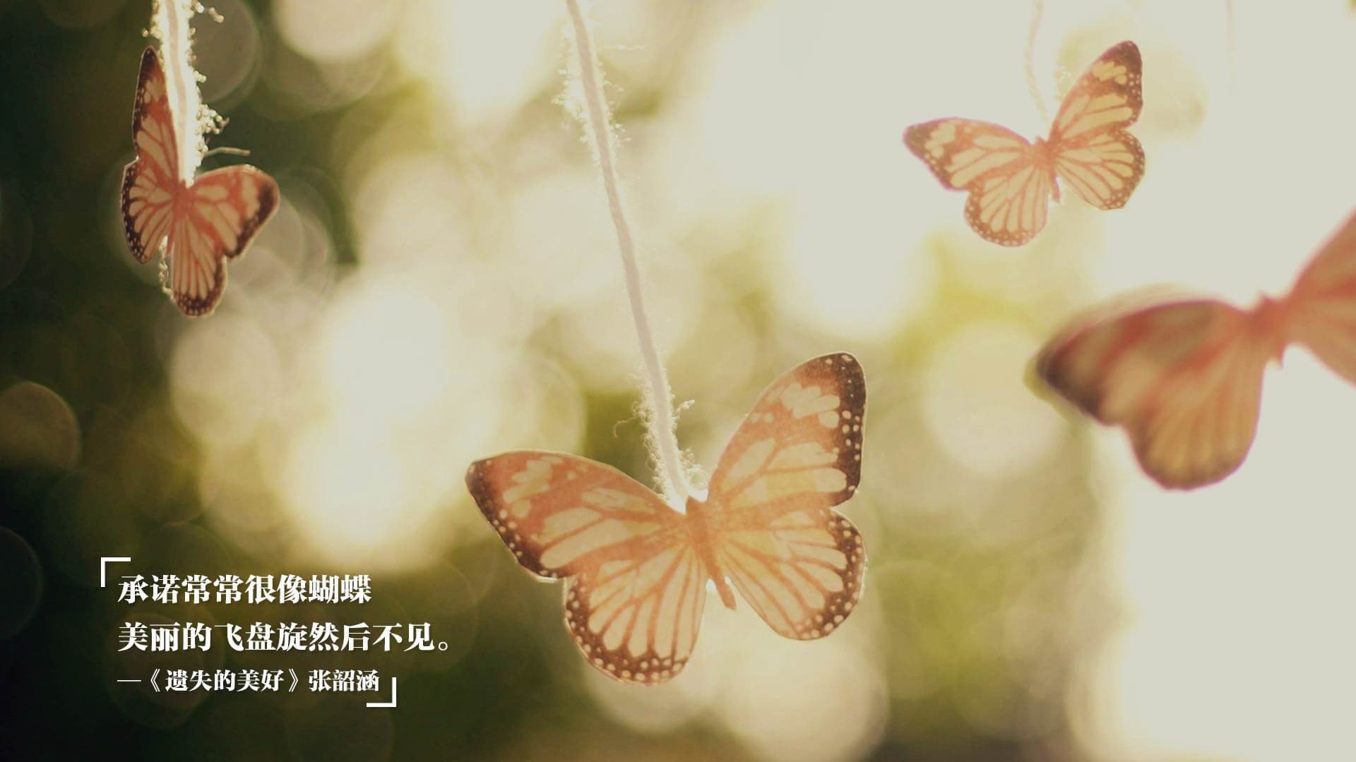 黑白直播体育-蓝鹰之翼撕裂天蓝防线，2026世界杯焦点战中的拉齐奥元素