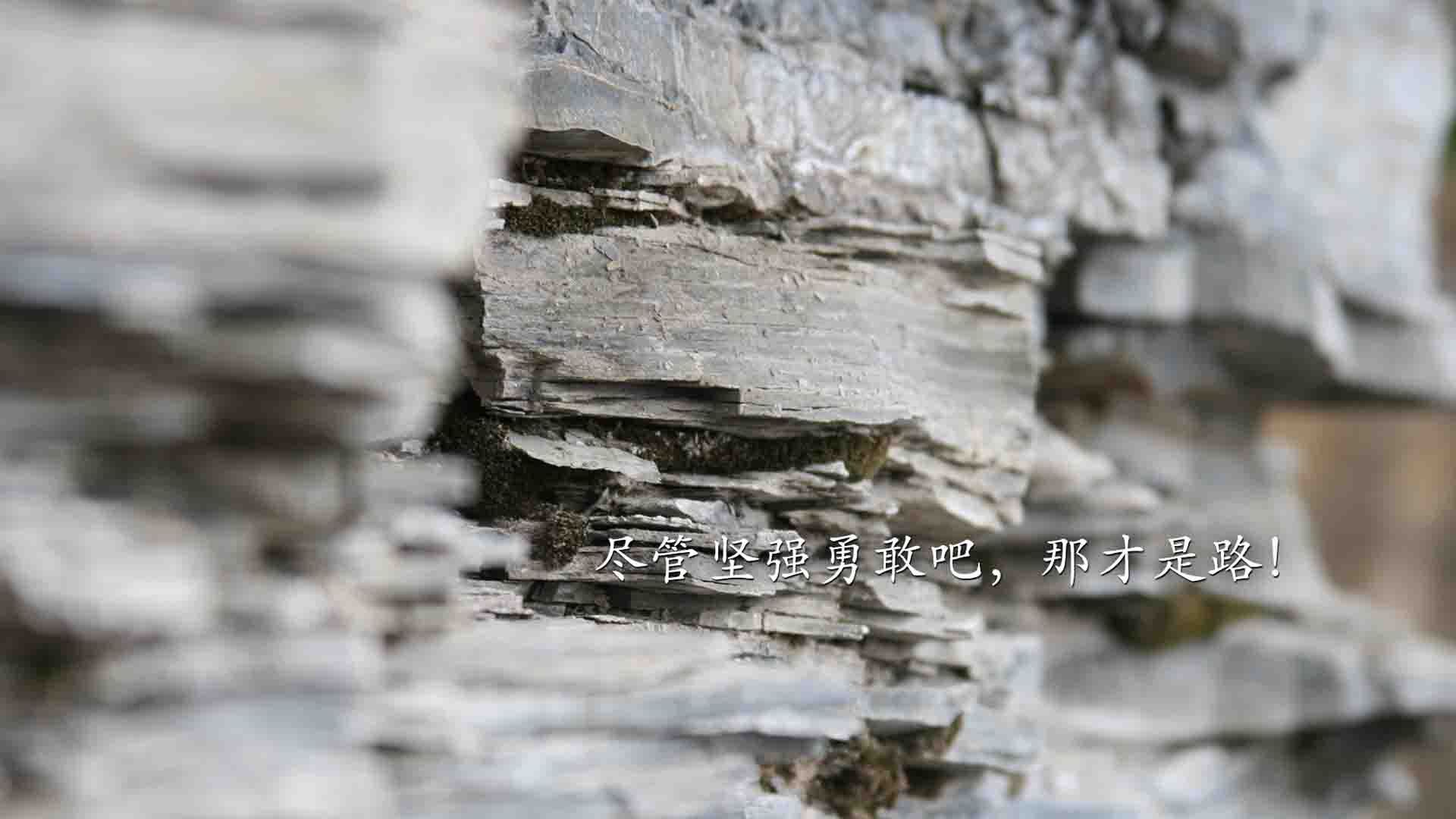 金色油门与终场蜂鸣，当克莱在F1赛道接管比赛时，太阳队正完成最后时刻的逆转