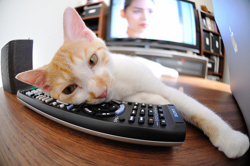 黑白直播在线观看-晋级，从辽宁的汗水到丹佛的高原，美加墨的草坪等待着强者印记