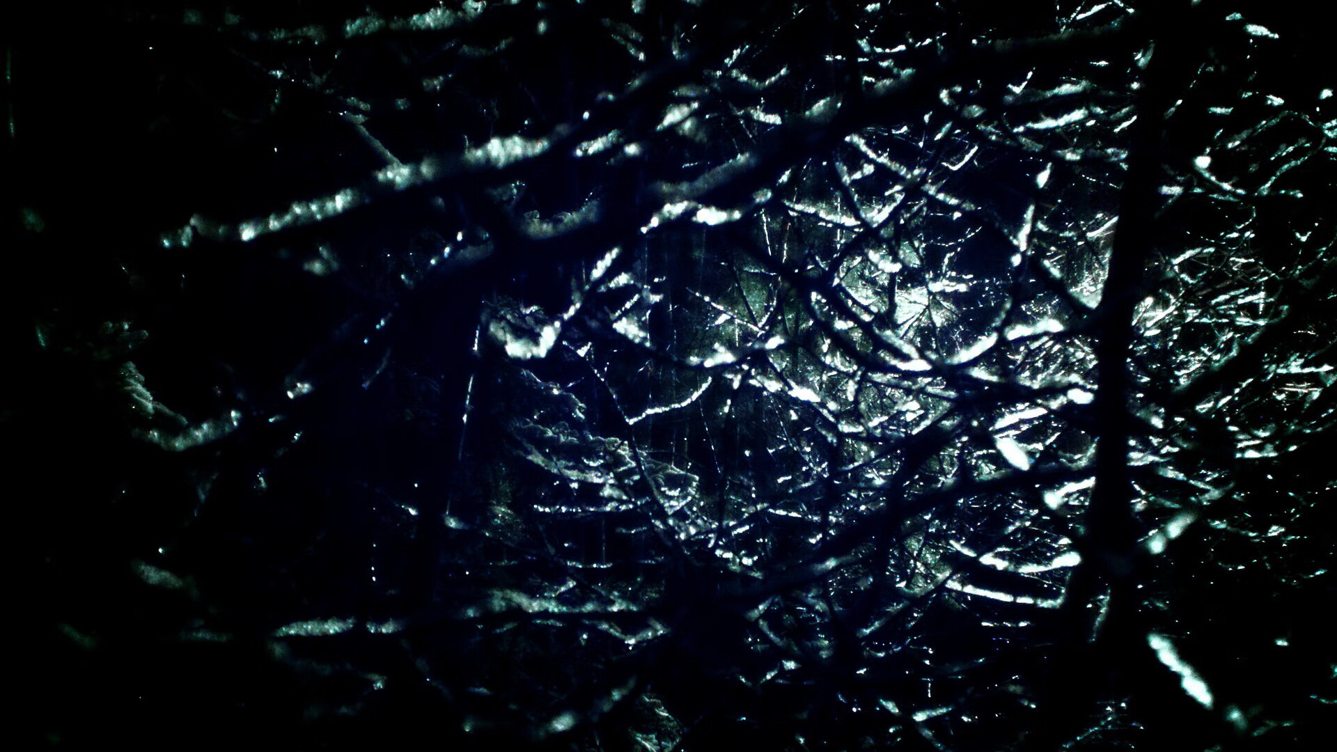 黑白直播网-切特的魔法时刻，生死战最后三秒，一记弧线定义超新星崛起