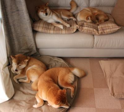 黑白直播免费体育直播-米切尔狂砍50分难救主，北京队铁血防守锁死步行者取开门红