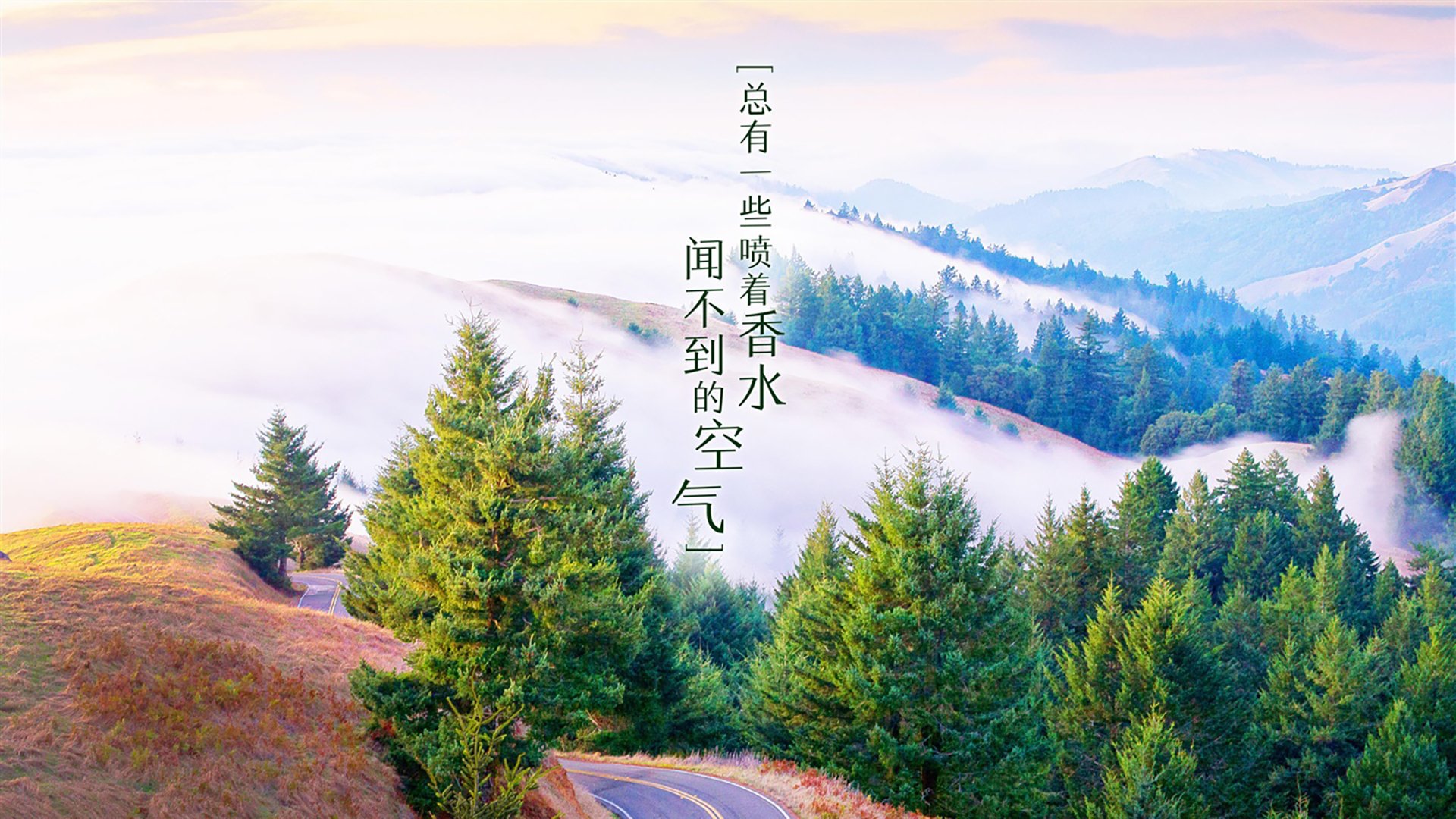 极速与博弈,从F1收官战到阿根廷洪都拉斯对决的胜负哲学