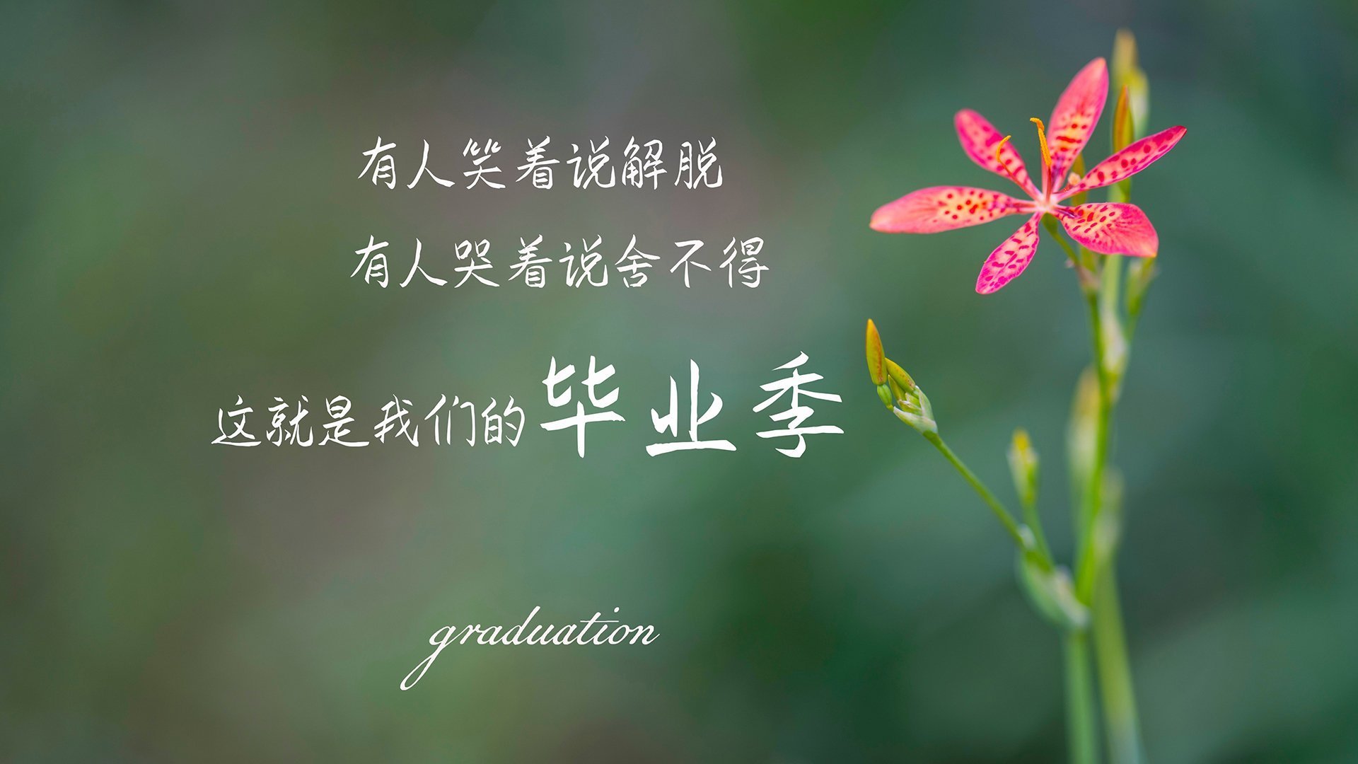 逆转与统治，篮球赛场上的传奇时刻—从广厦队的奇迹到戈贝尔的西决生死战