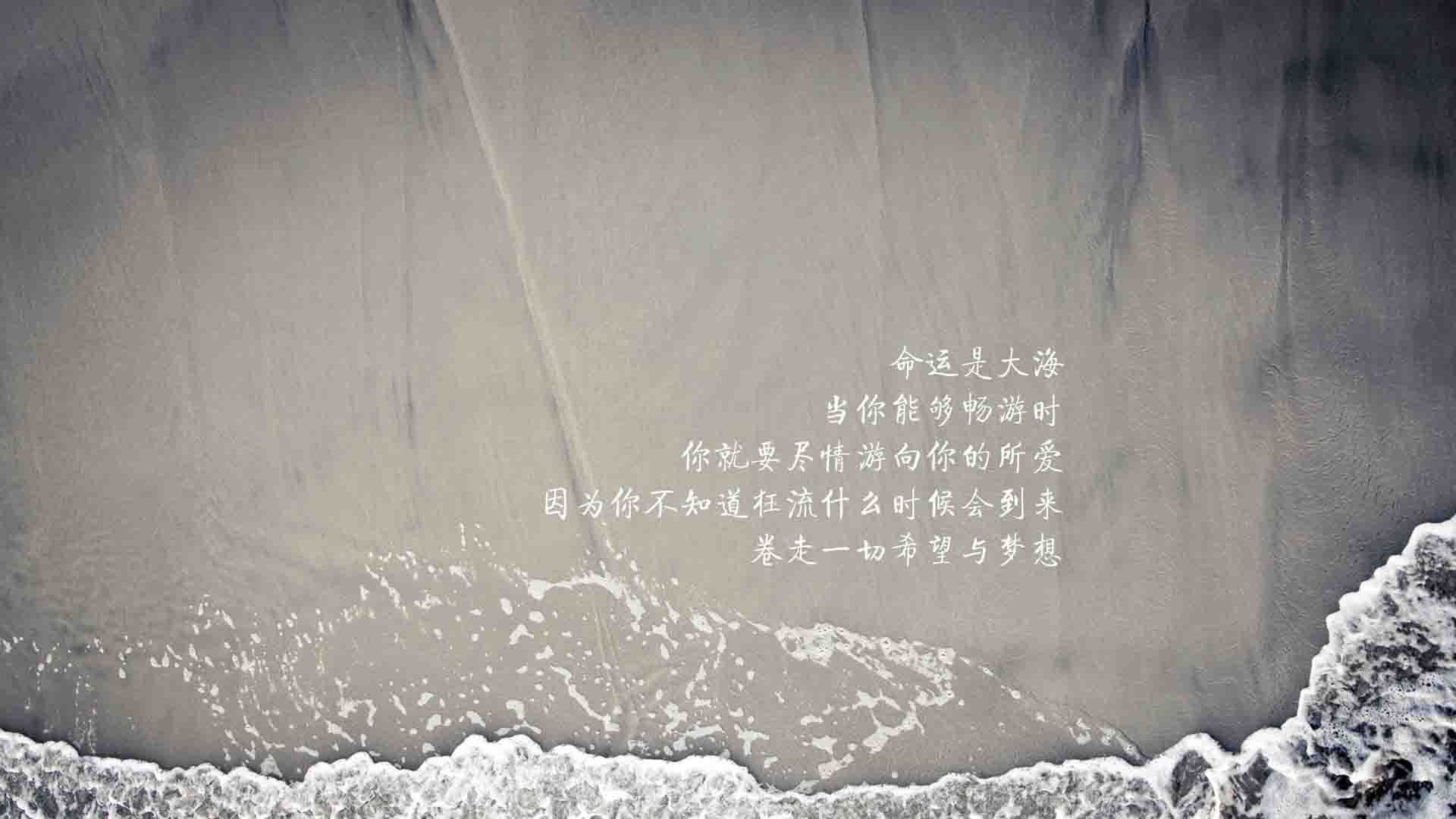 黑白直播在线观看-橙色风暴席卷绿茵，2026世界杯B组关键战，荷兰大胜沙特，格列兹曼带队取胜