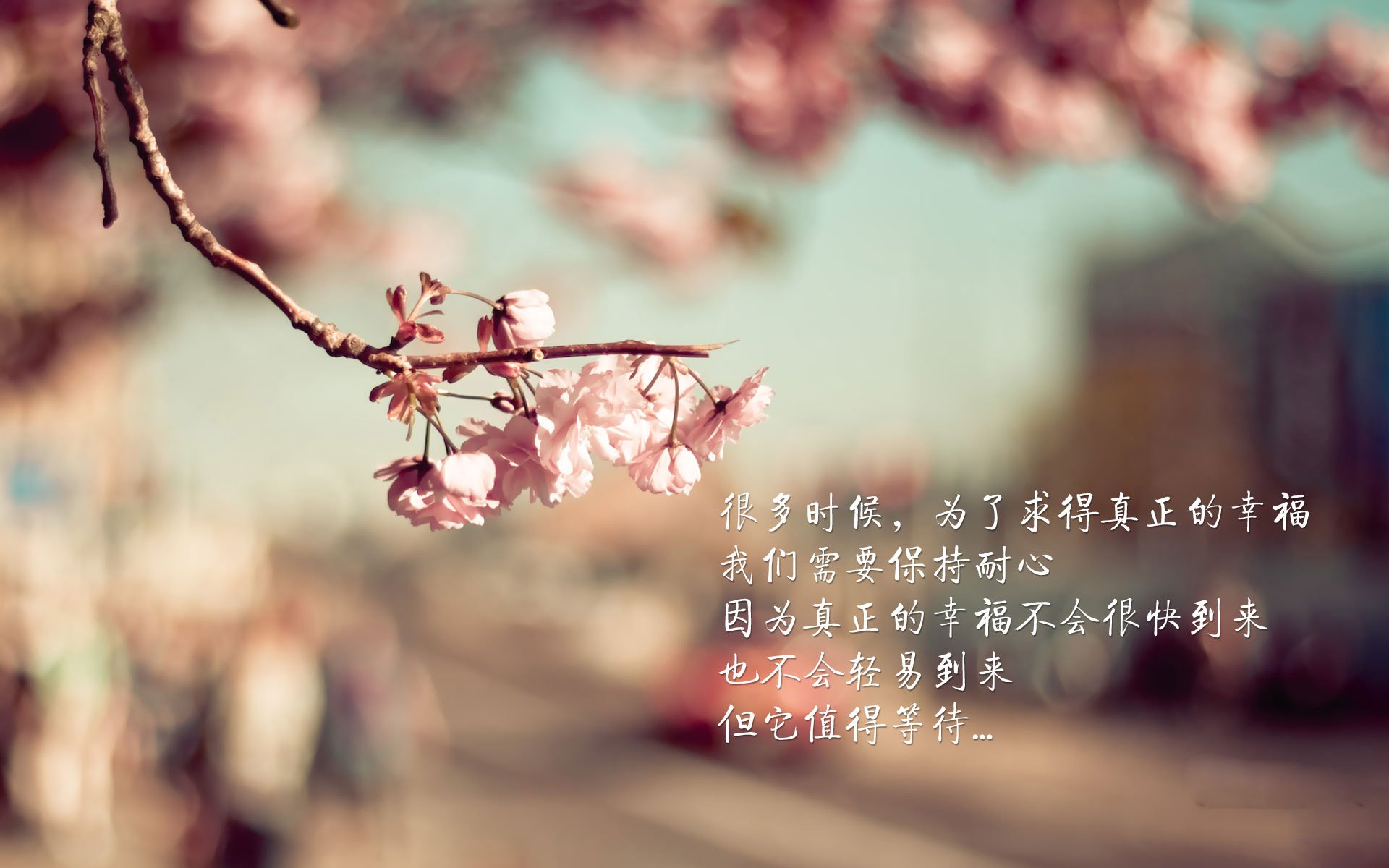 巴西对阵秘鲁,莫德里奇如何成为B组的隐形指挥家