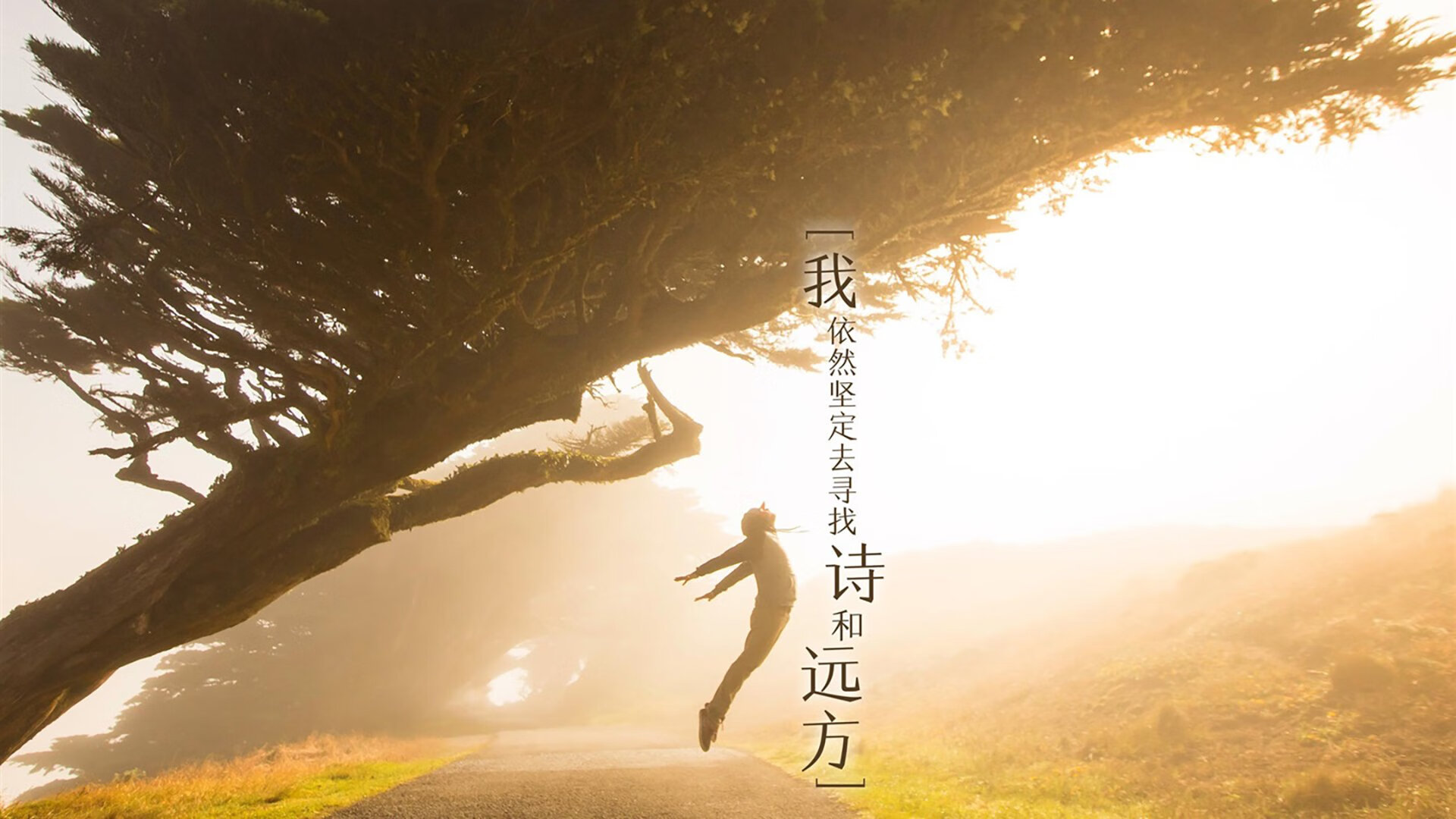 英雄凯恩，2026世界杯四分之一决赛，哥伦比亚对阵波兰的转折点